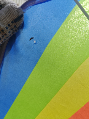 Зонт  1,6м разноцветный 2 части  УЦЕНКА