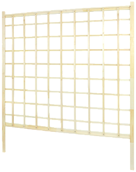 e29a509cb941478cc2e6fceb54b88751